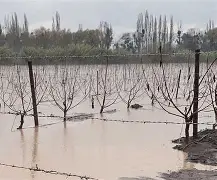 九游-风云突变！罗马冲刺阶段再遭质疑，荷甲版图或变，更衣室稳定，控场能力受关注的简单介绍
