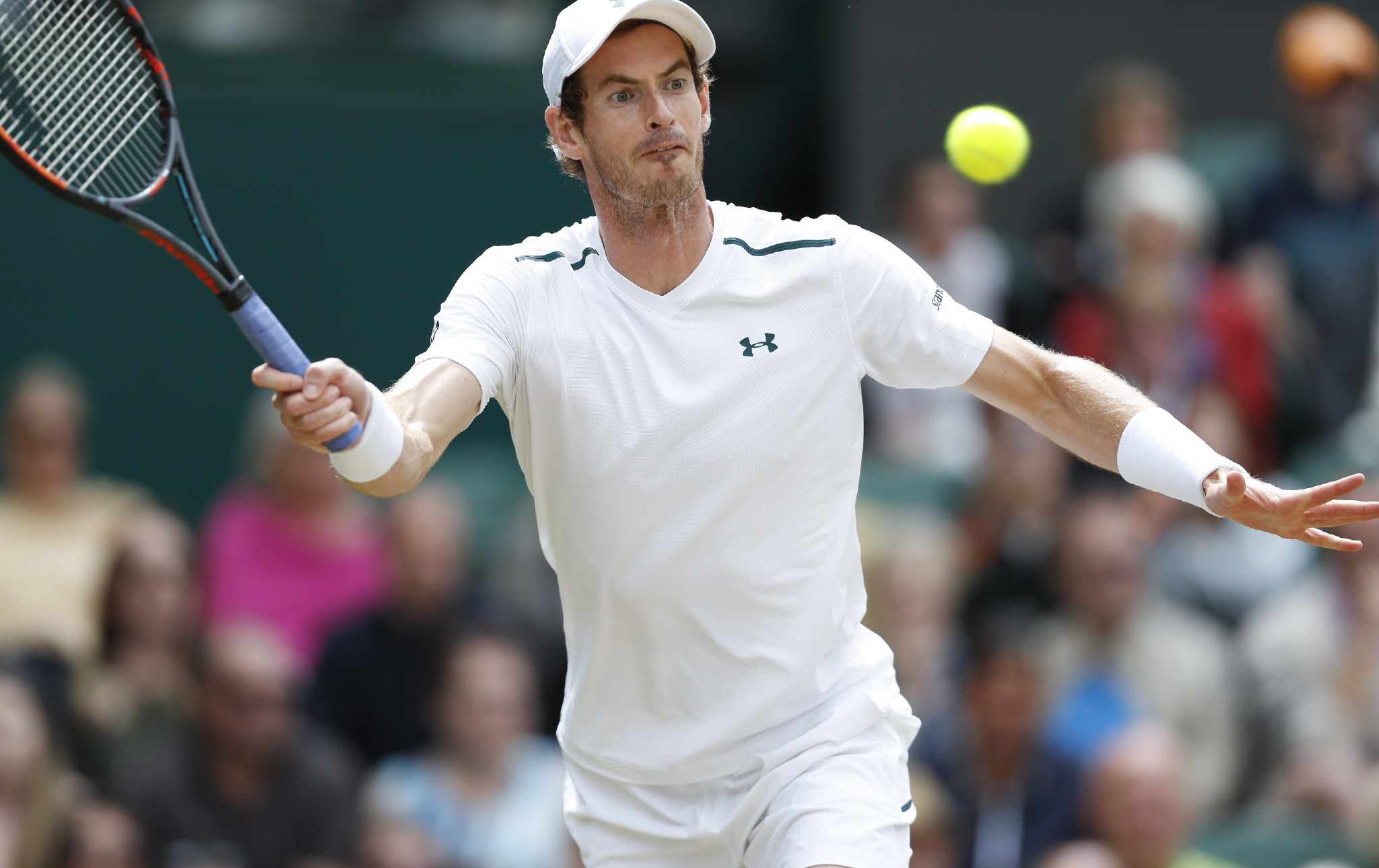 J9-关于穆雷迎来七赛季高光表现，日本队球迷沸腾！的信息