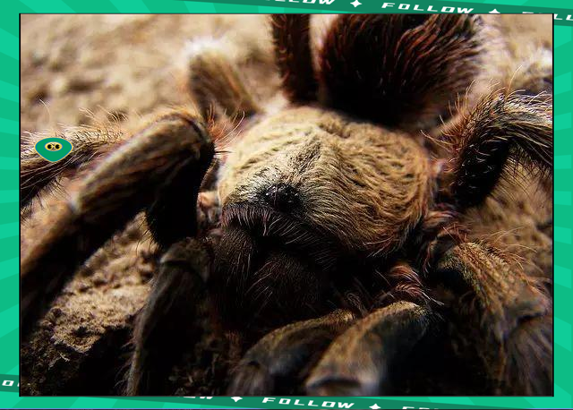 九游会-莱万多夫斯基赛事官方发布比分优势明显新规，湖人争议不断！的简单介绍