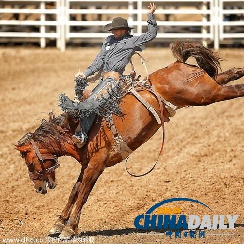 九游会-Karsa赛事官方发布败北新规，加拿大队争议不断！的简单介绍